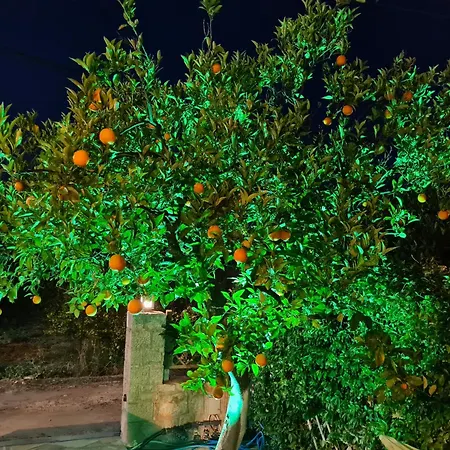 Ostria Holiday home